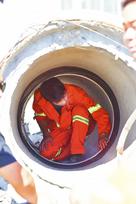 Internal pipe joint seals